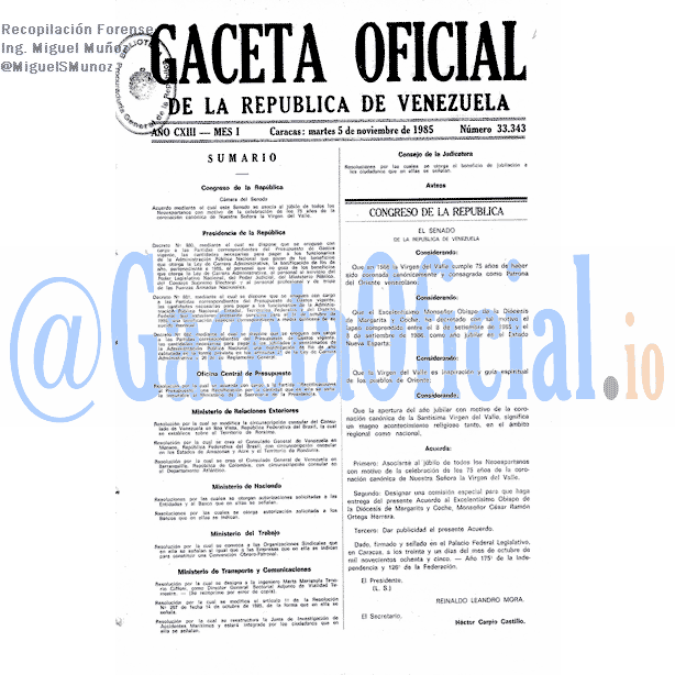Gaceta Oficial 33343 del 5 Noviembre 1985