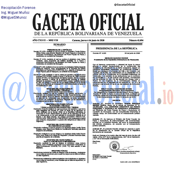 Gaceta Oficial 41894 del 4 junio 2020