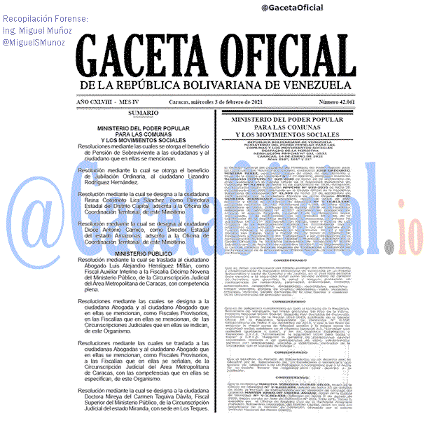 Gaceta Oficial 42061 del 3 febrero 2021